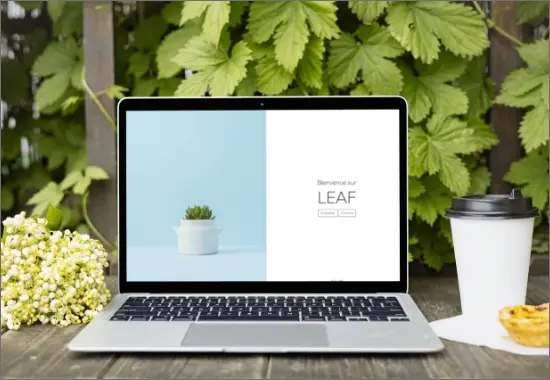Mockup Application Leaf